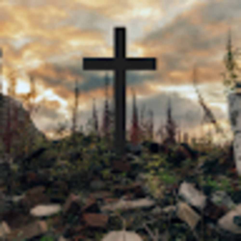 Meet your Posher, Reese